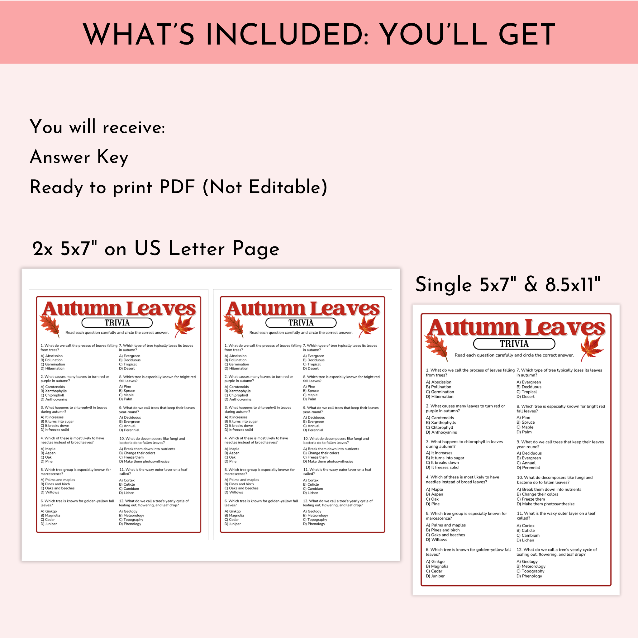 Autumn Leaves Trivia