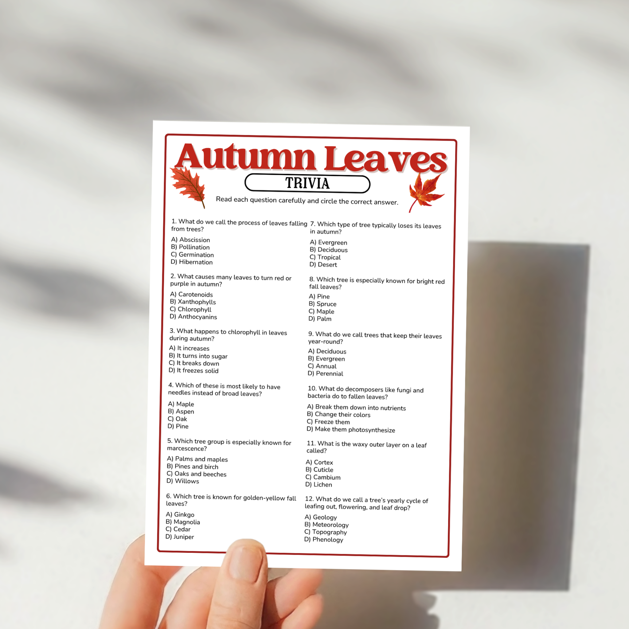 Autumn Leaves Trivia