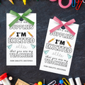 Teacher School Gift Tag