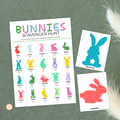 Bunnies Scavenger Hunt