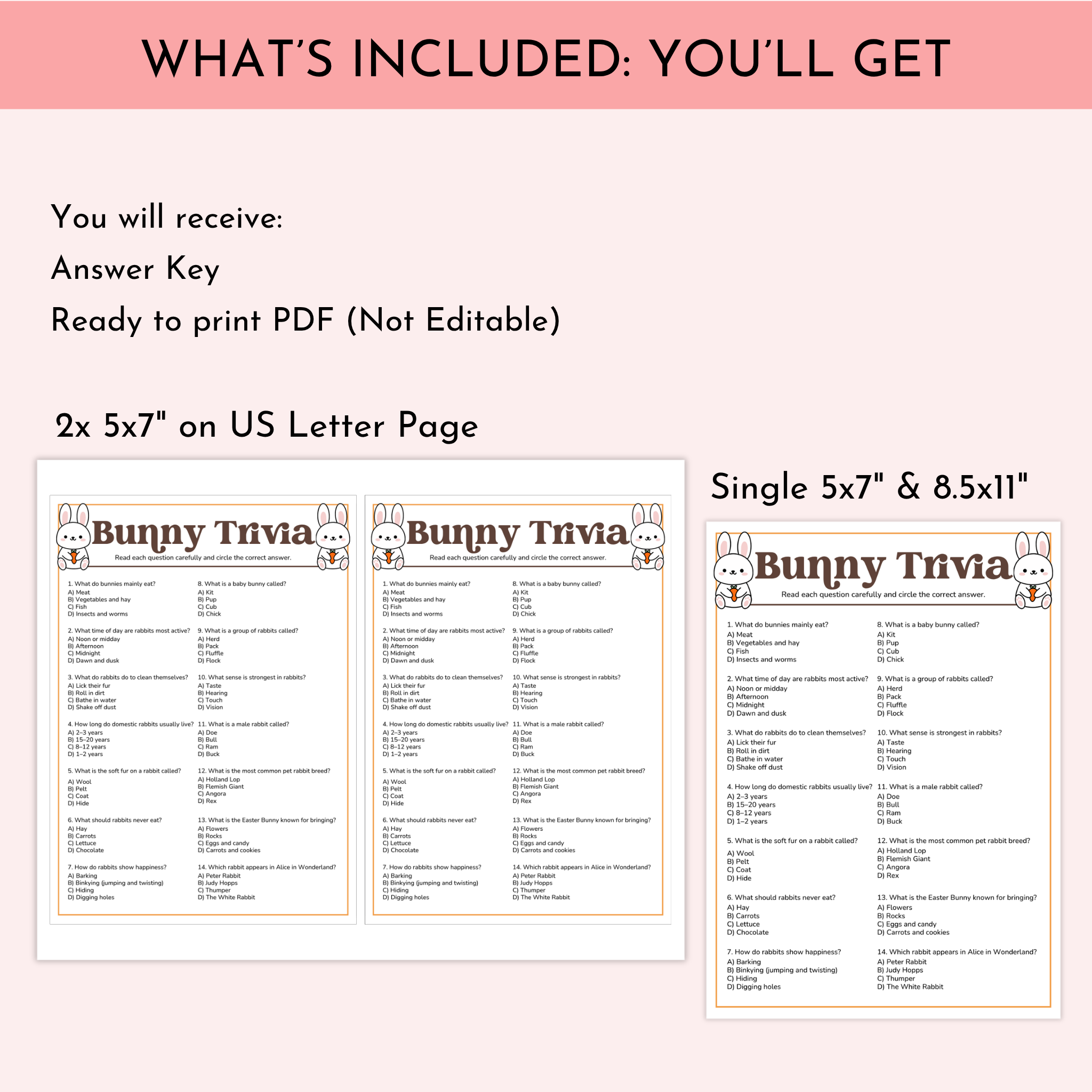 Bunny Trivia Game
