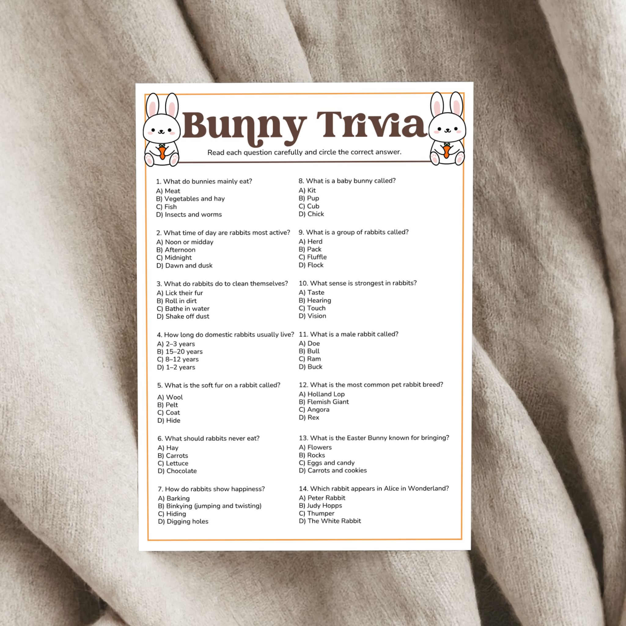 Bunny Trivia Game