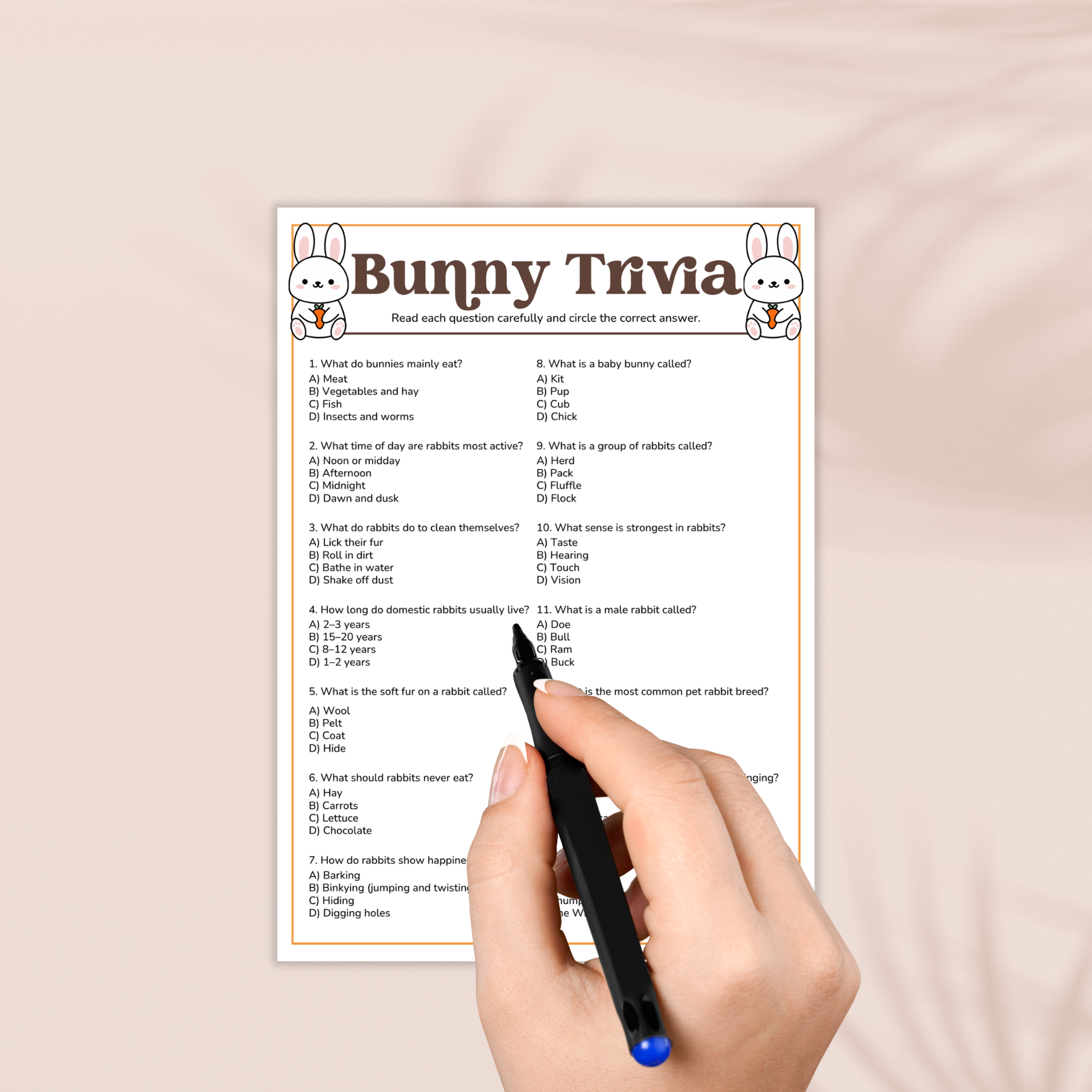 Bunny Trivia Game