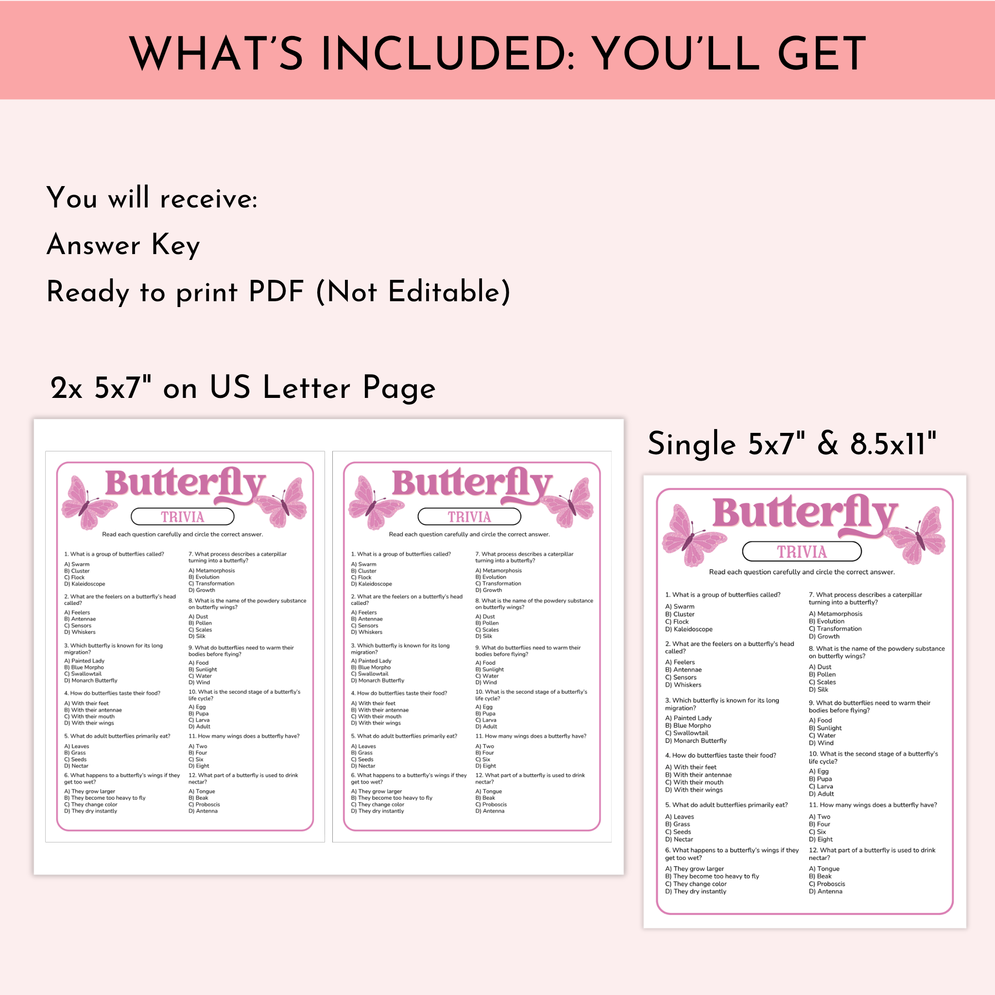 Butterfly Trivia Game