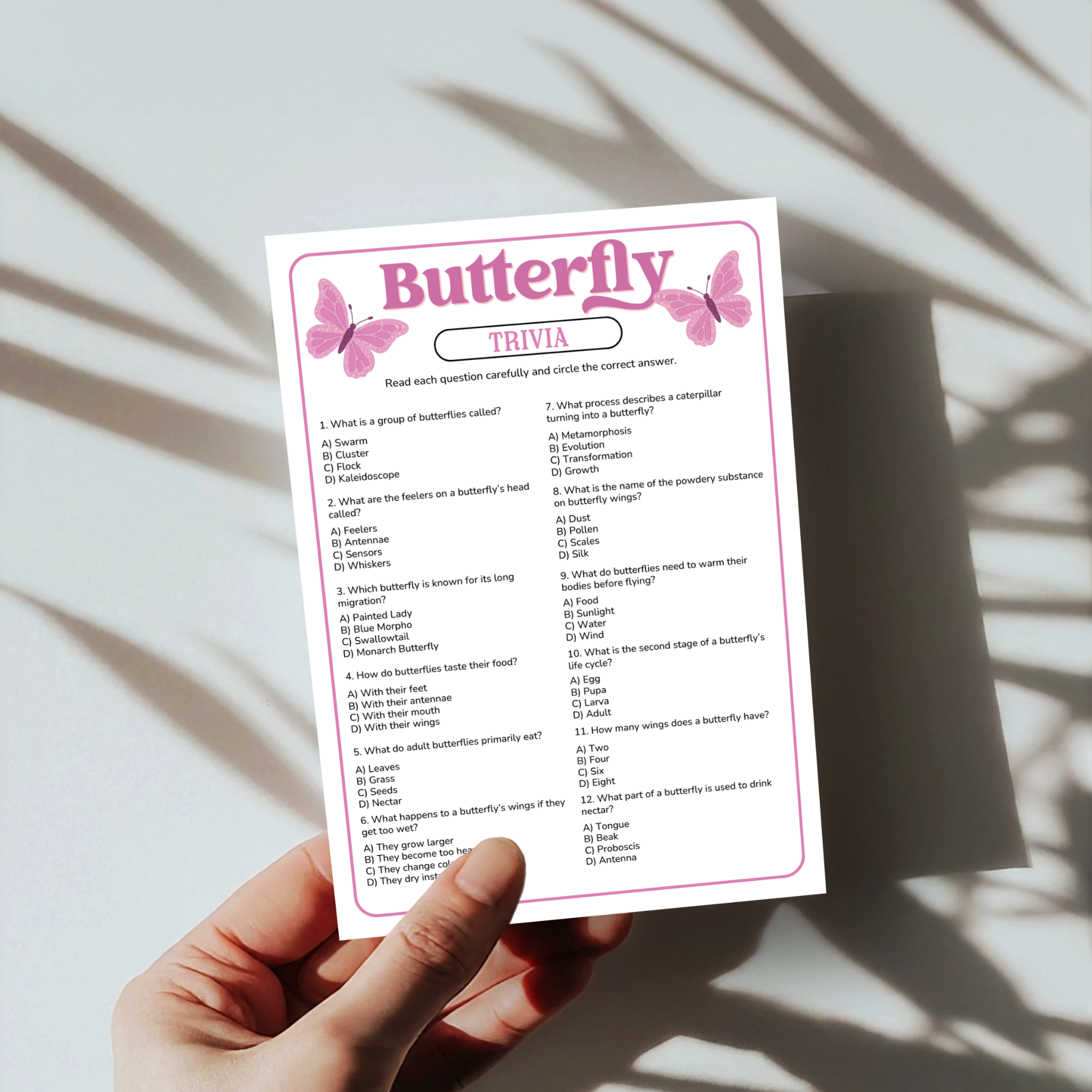 Butterfly Trivia Game