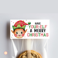 Elf Christmas Bag Topper