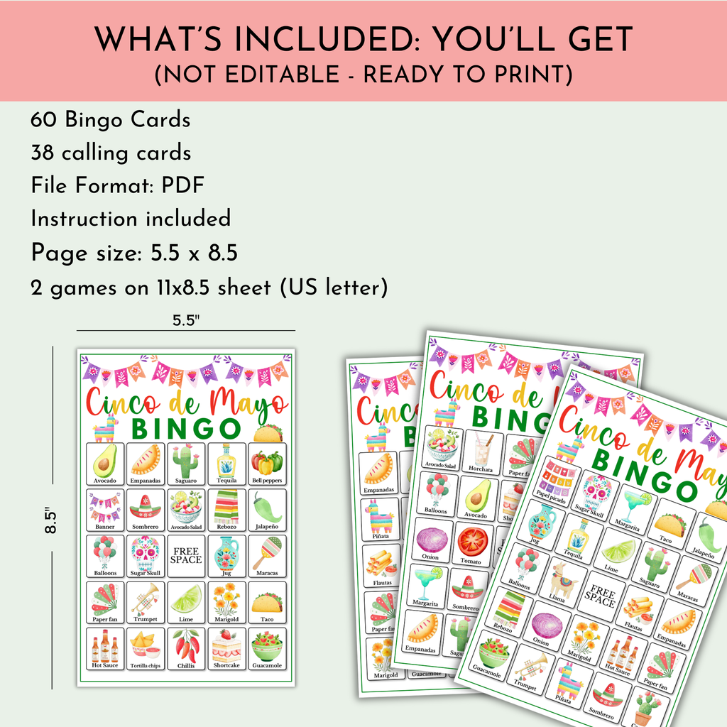 Cinco de Mayo Bingo Game