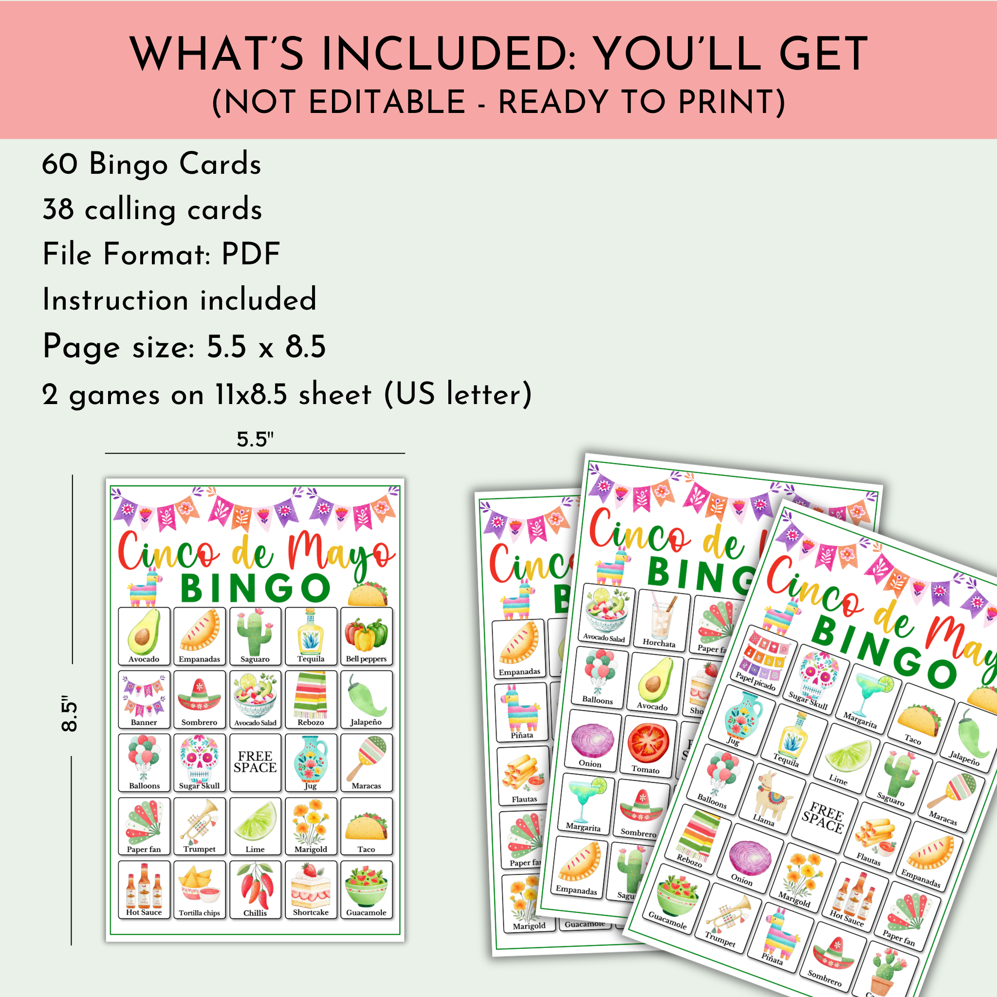 Cinco de Mayo Bingo Game