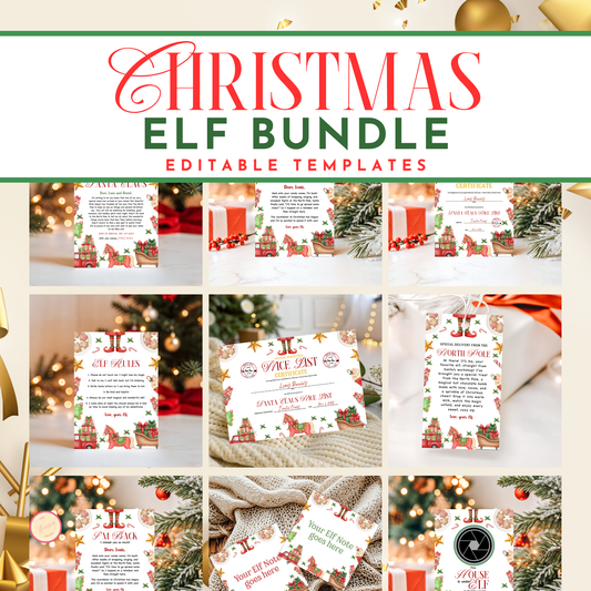 Elf Activity Kit
