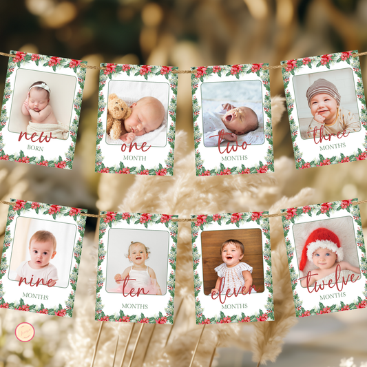 Christmas Birthday | Monthly Photo Banner