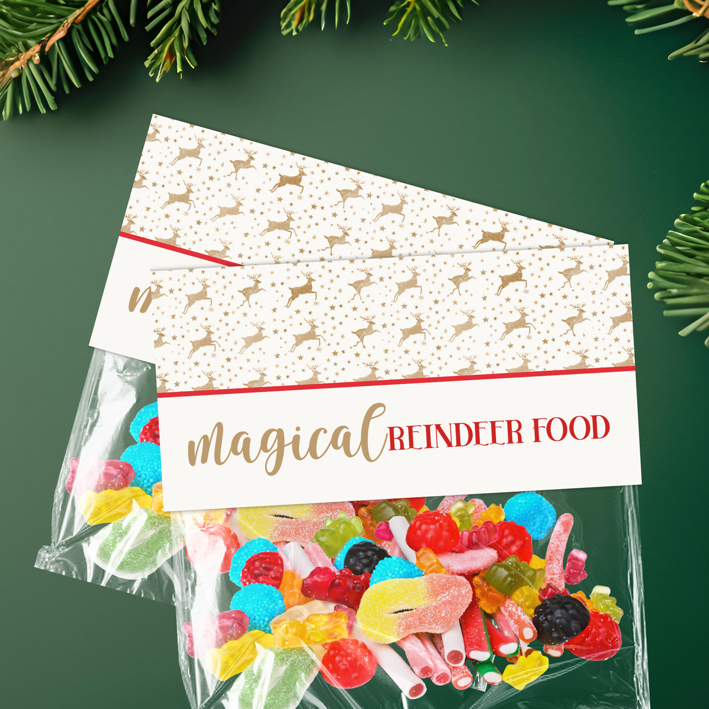 Magic Reindeer Food Bag Topper