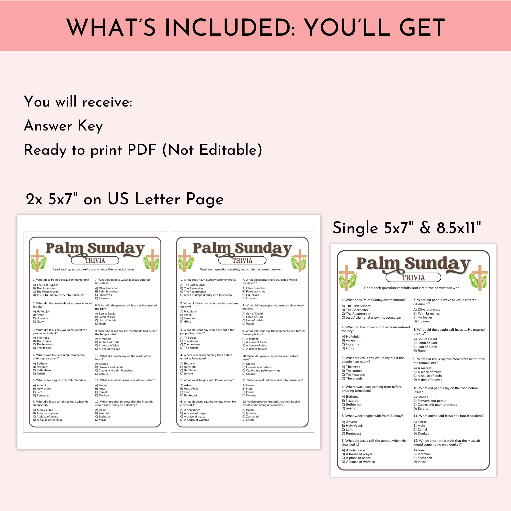 Palm Sunday Trivia Game