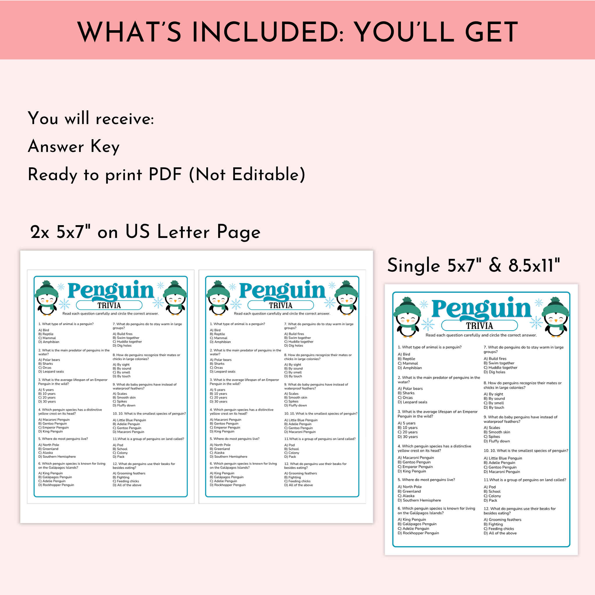 Penguin Trivia Game