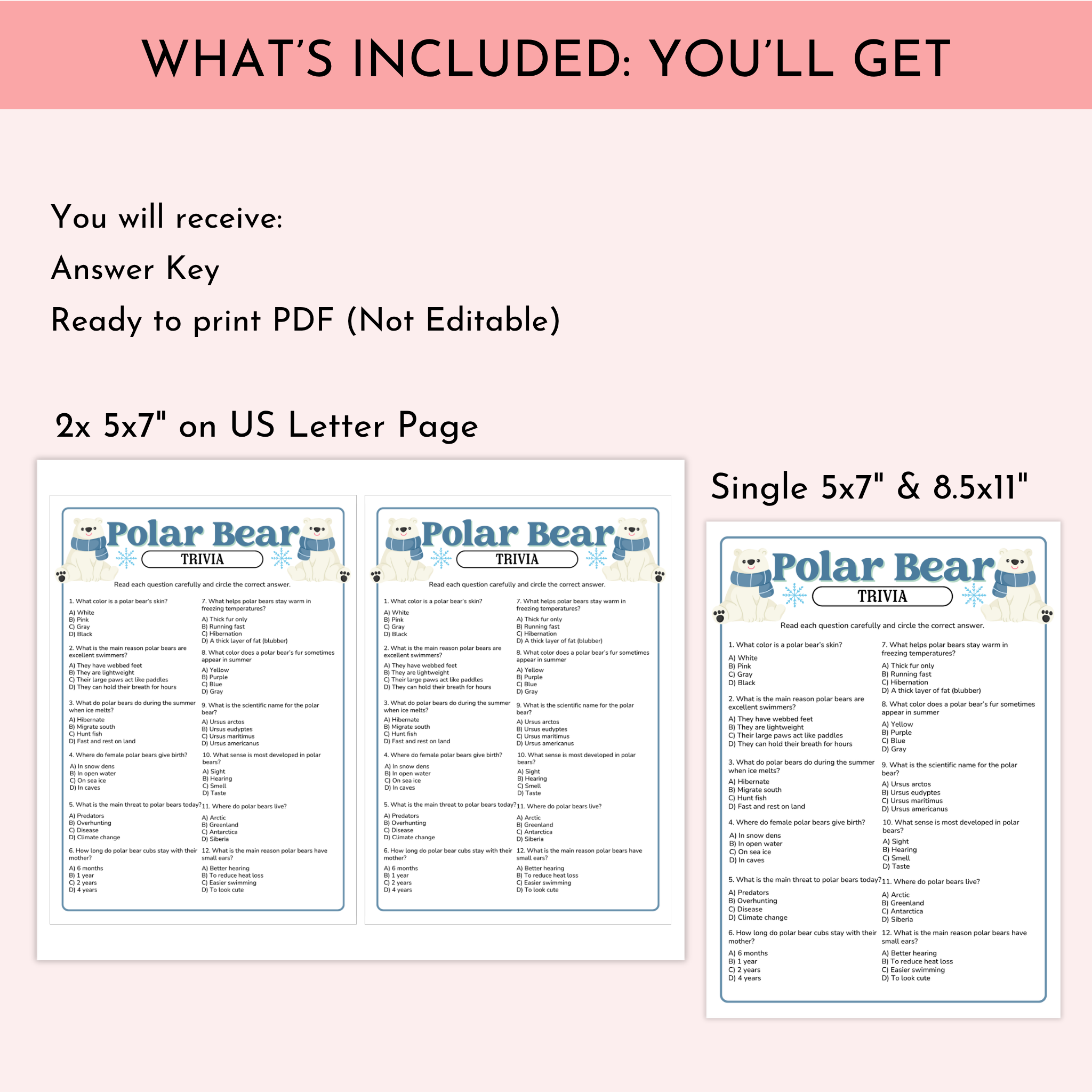 Polar Bear Trivia Game