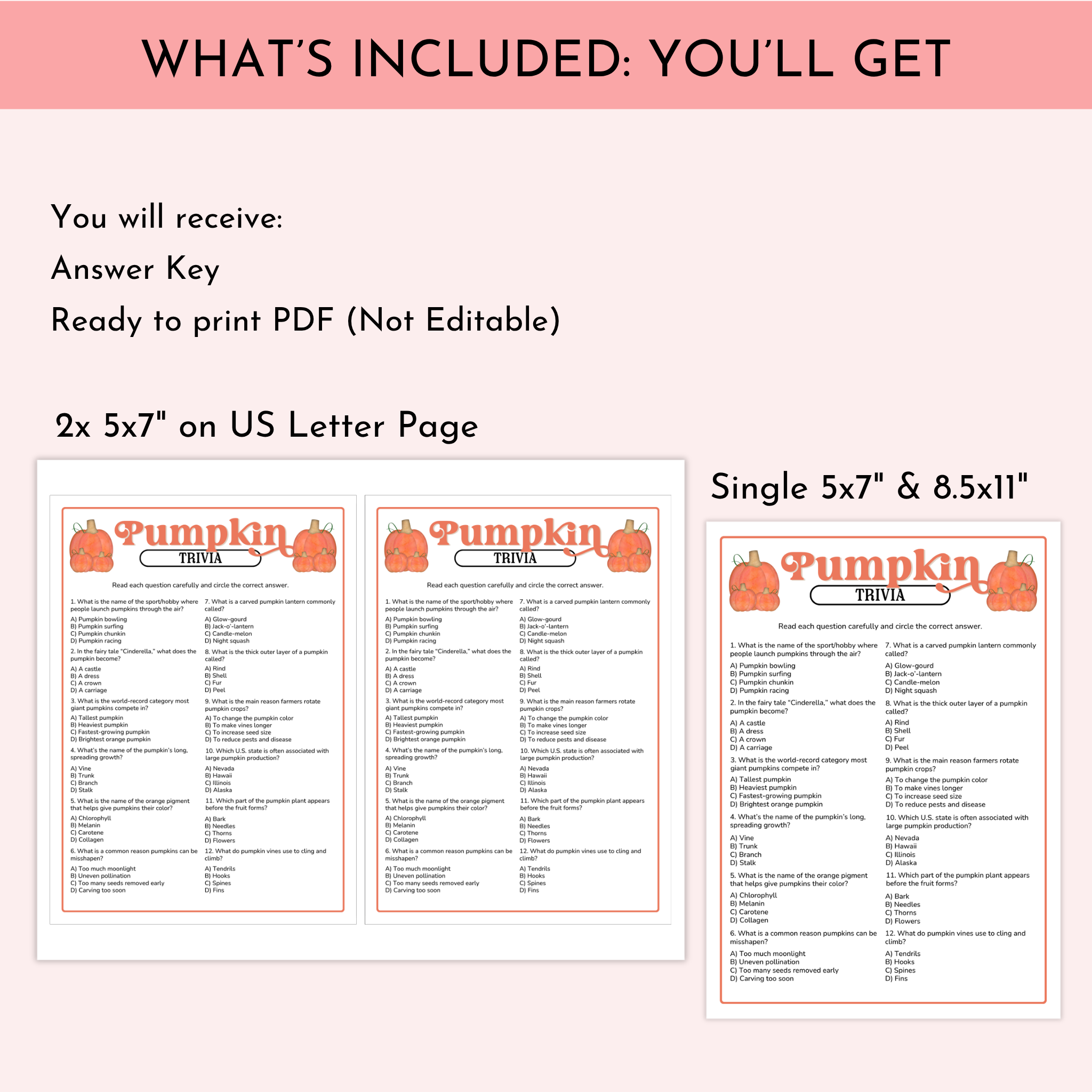 Pumpkin Trivia Game
