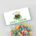 Lucky Charm Bag Topper