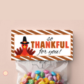 Thanksgiving Bag Topper | 04