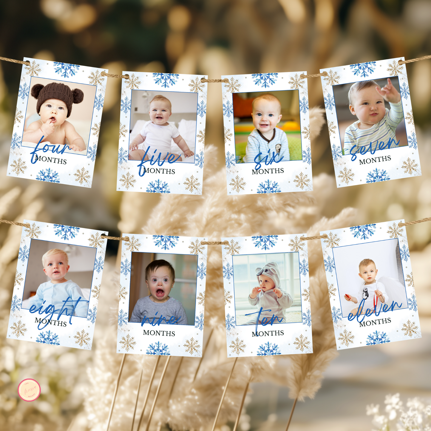 Winter 1st Birthday Monthly Photo Banner | Blue