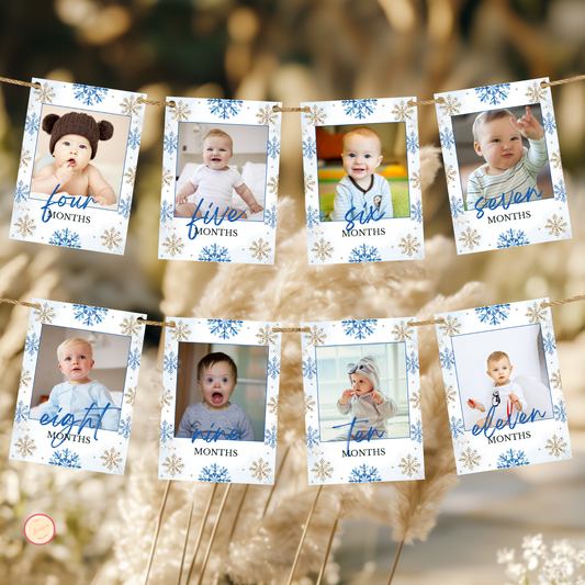 Winter 1st Birthday Monthly Photo Banner | Blue