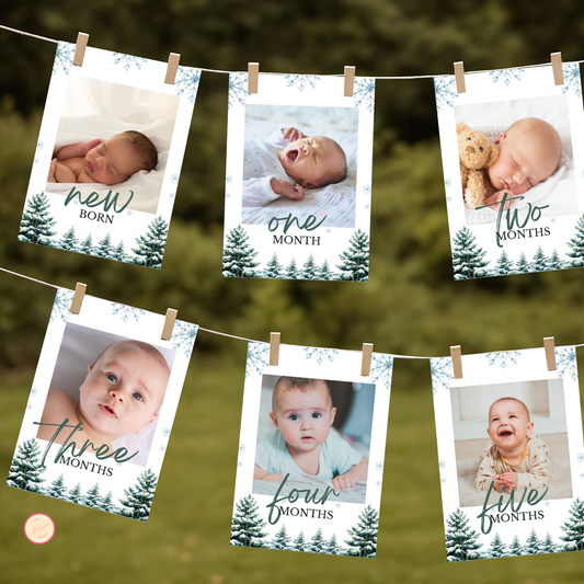 Winter 1st Birthday Monthly Photo Banner | Woodland