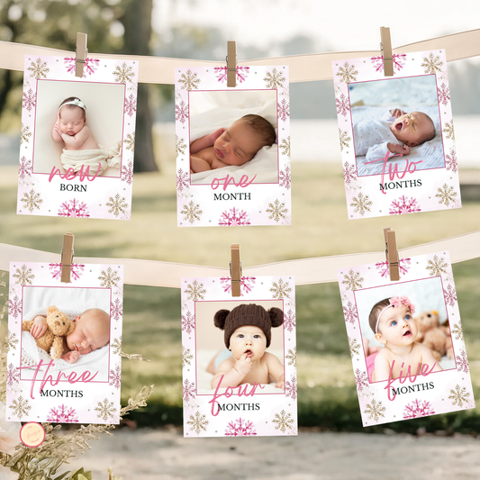 Winter 1st Birthday Monthly Photo Banner | Pink
