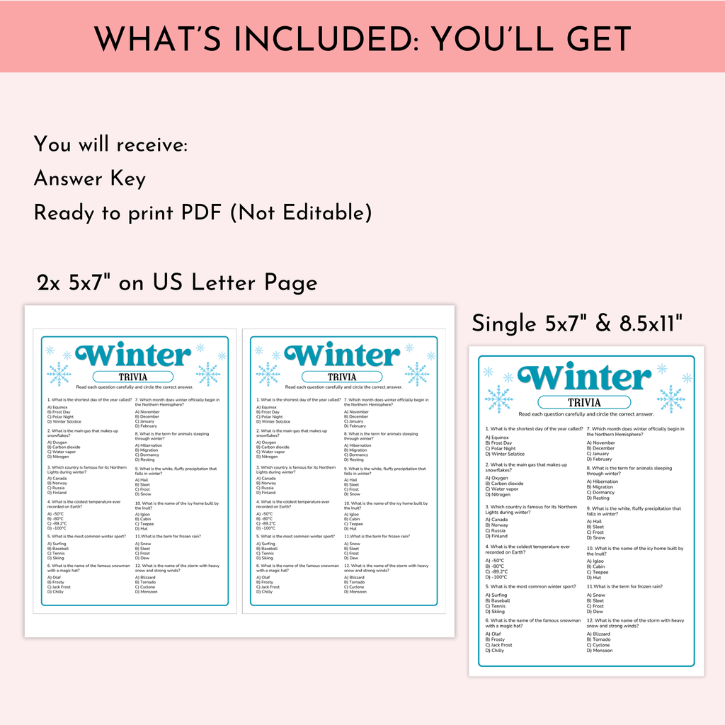 Winter Trivia Game
