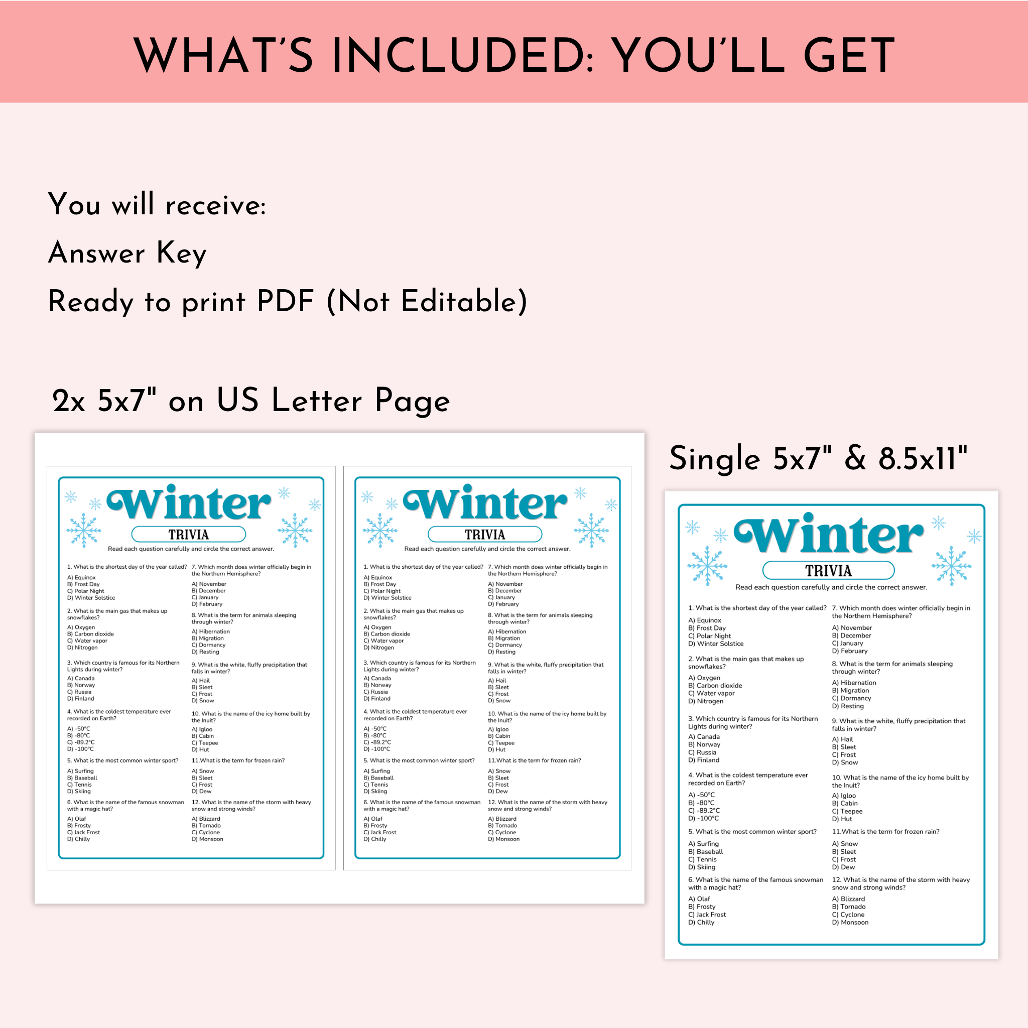 Winter Trivia Game