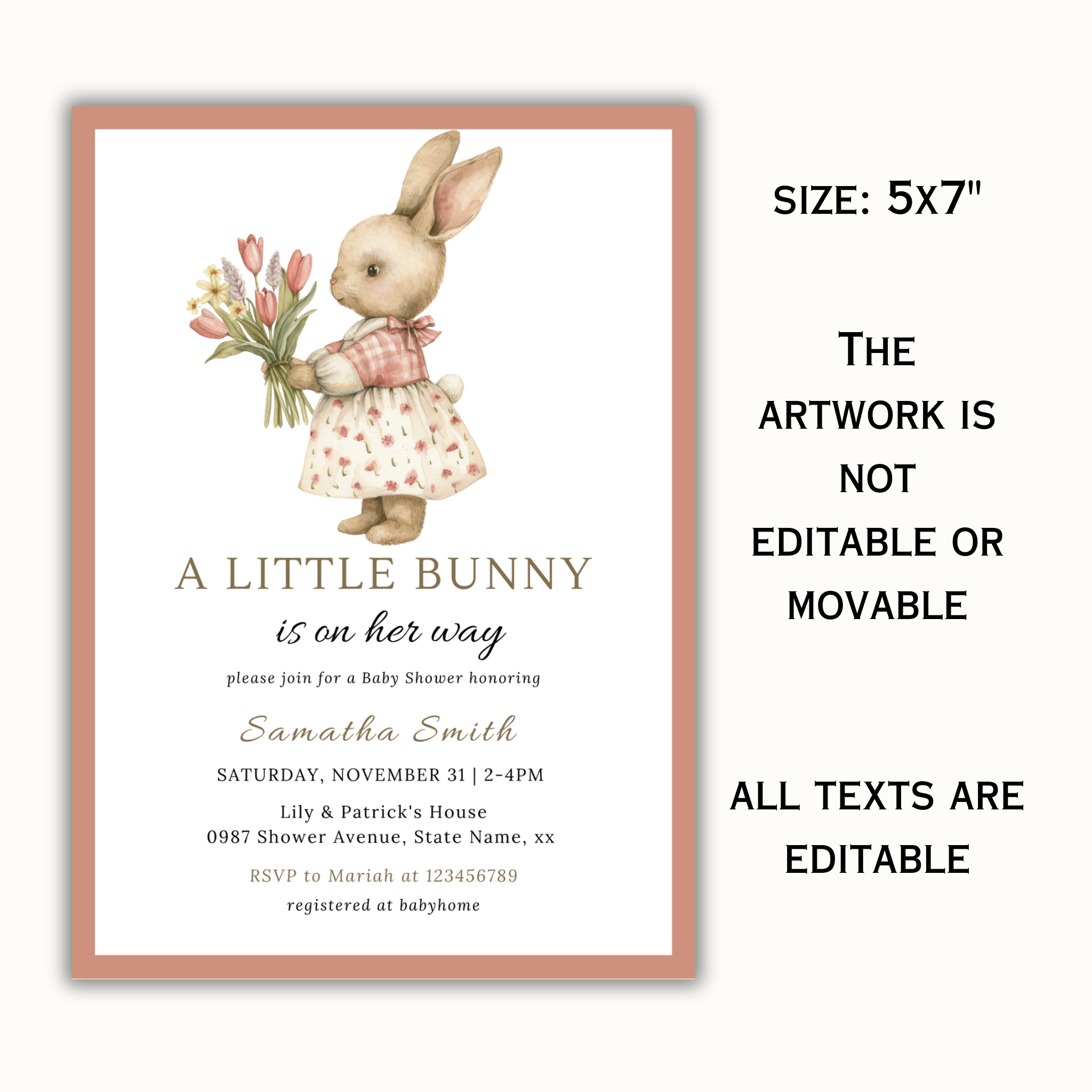 A Little Bunny is on Her Way, Girl Bunny Invitation