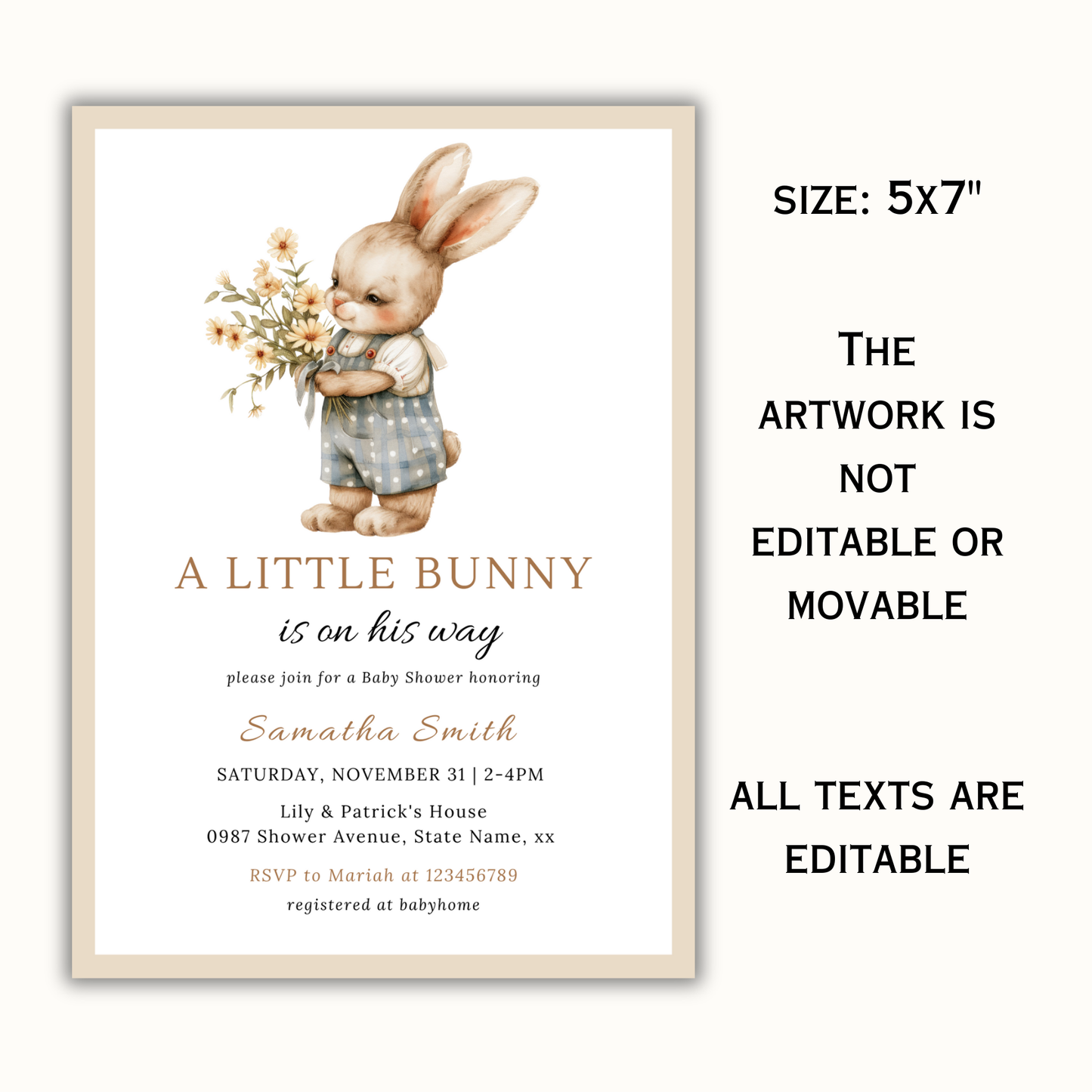 A Little Bunny is on His Way, Boy Bunny Invitation