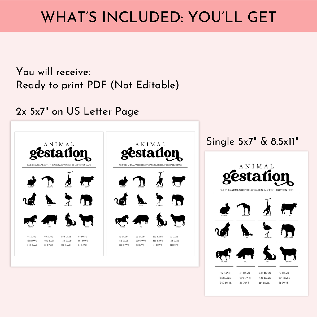 Animal Gestation Game