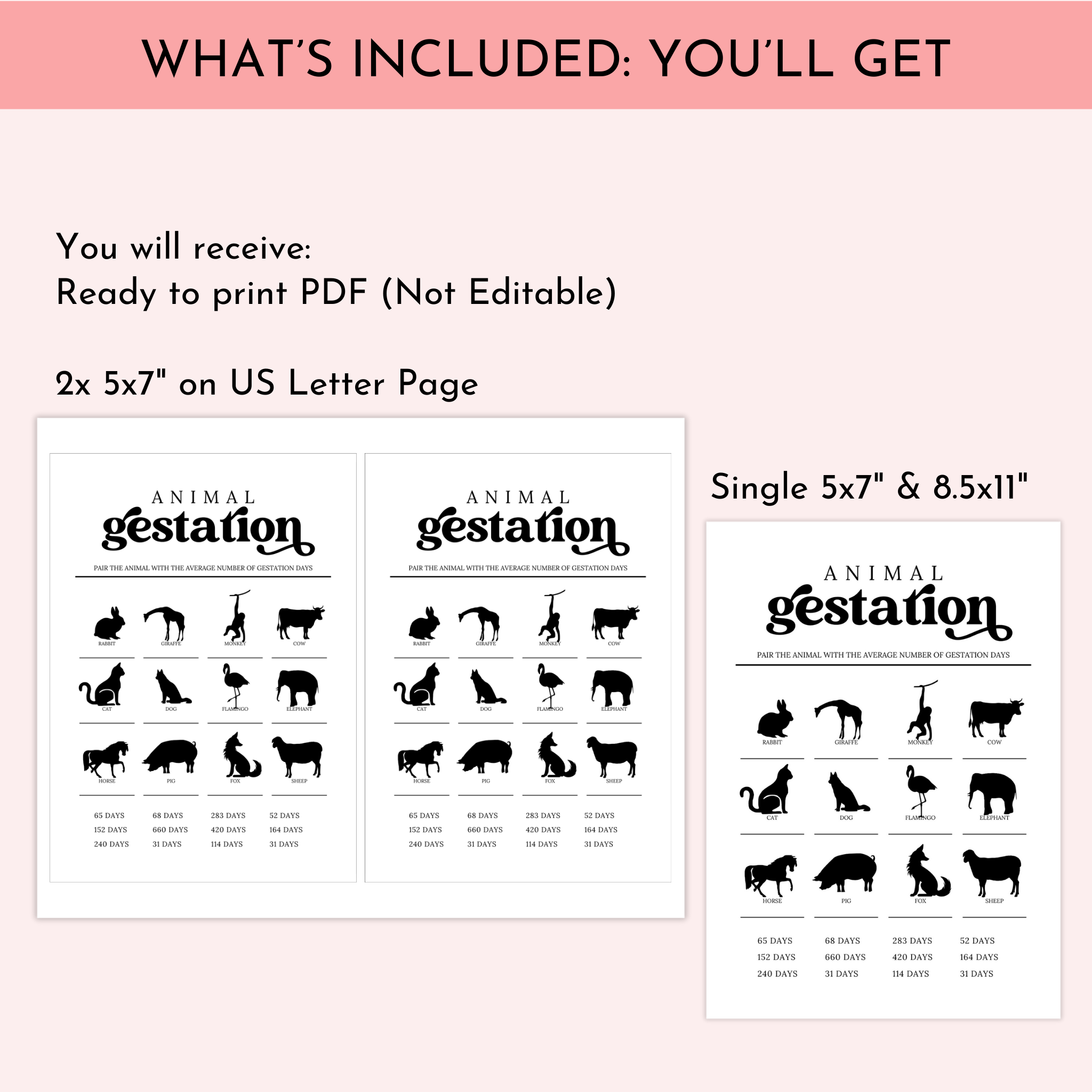 Animal Gestation Game