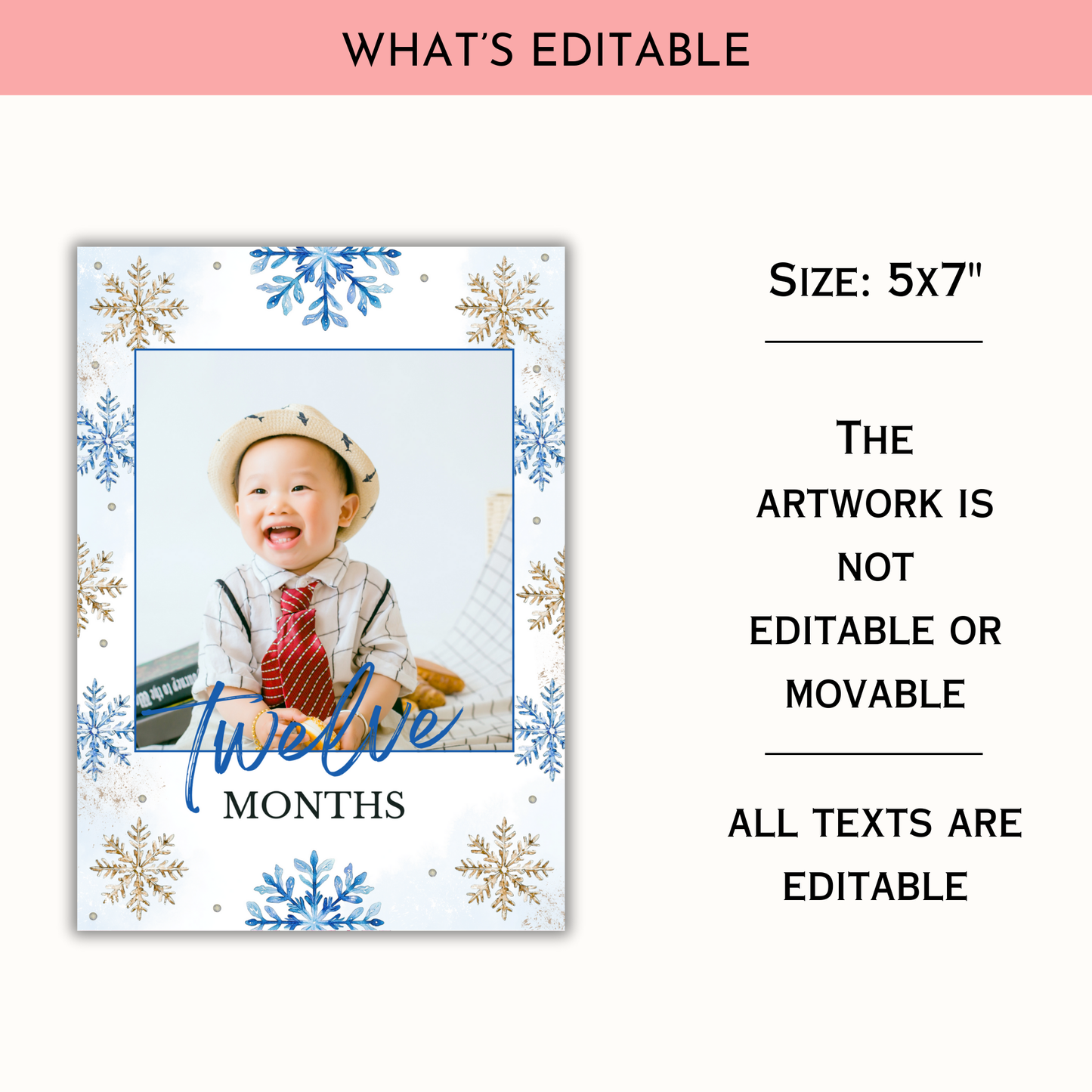 Winter 1st Birthday Monthly Photo Banner | Blue