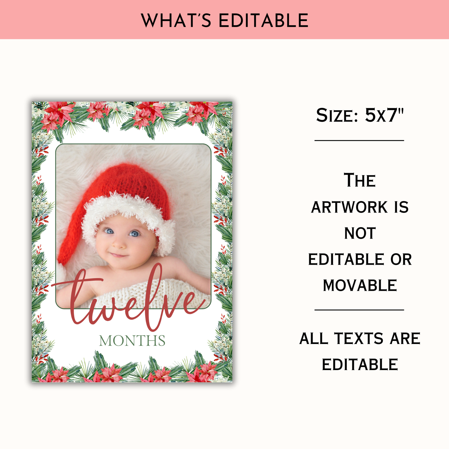 Christmas Birthday | Monthly Photo Banner
