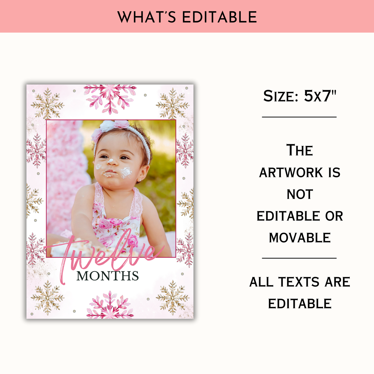 Winter 1st Birthday Monthly Photo Banner | Pink