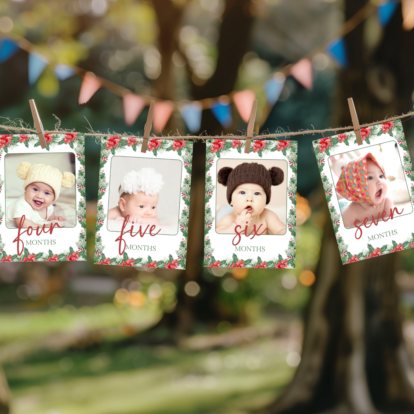 Christmas Birthday | Monthly Photo Banner