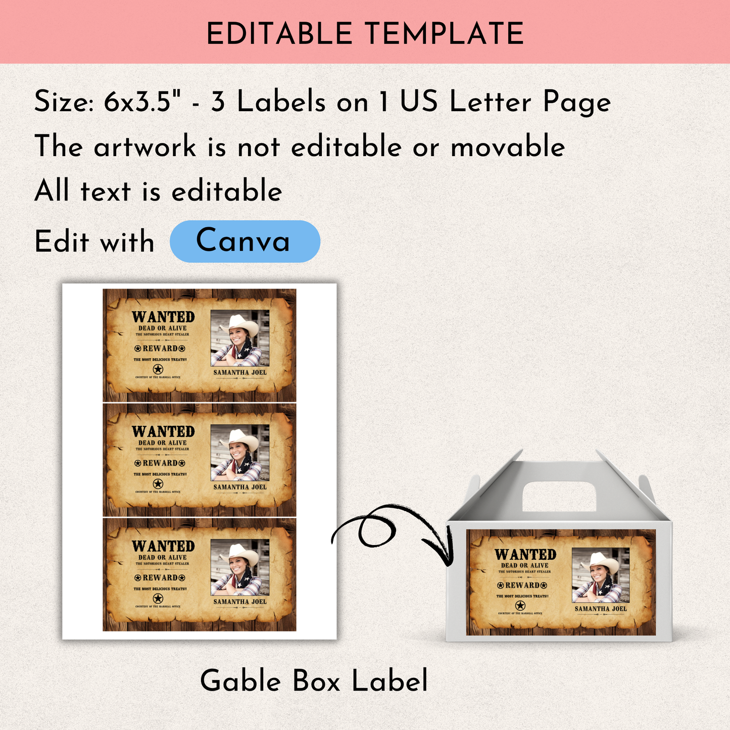 Wanted Party Gable Box Template