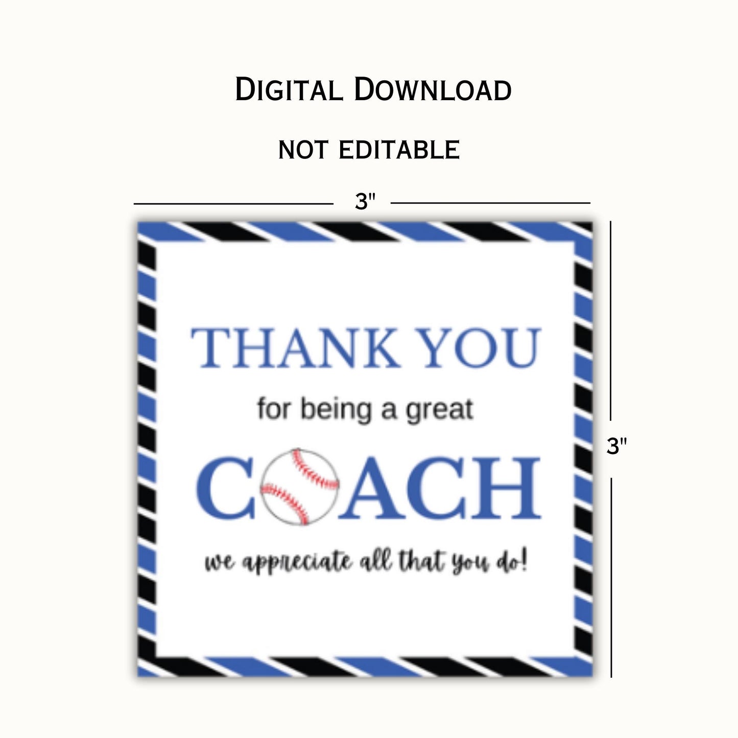 Baseball Coach Appreciation Tag - Blue