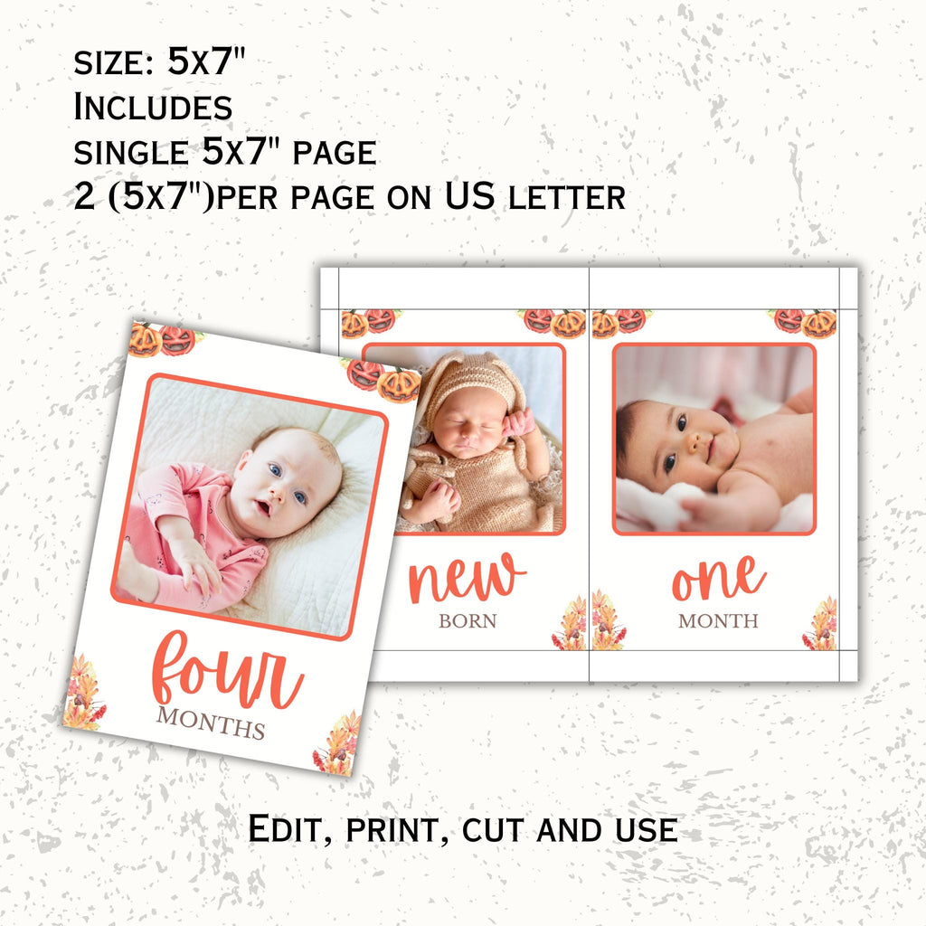 Pumpkin 1st Birthday Photo Banner