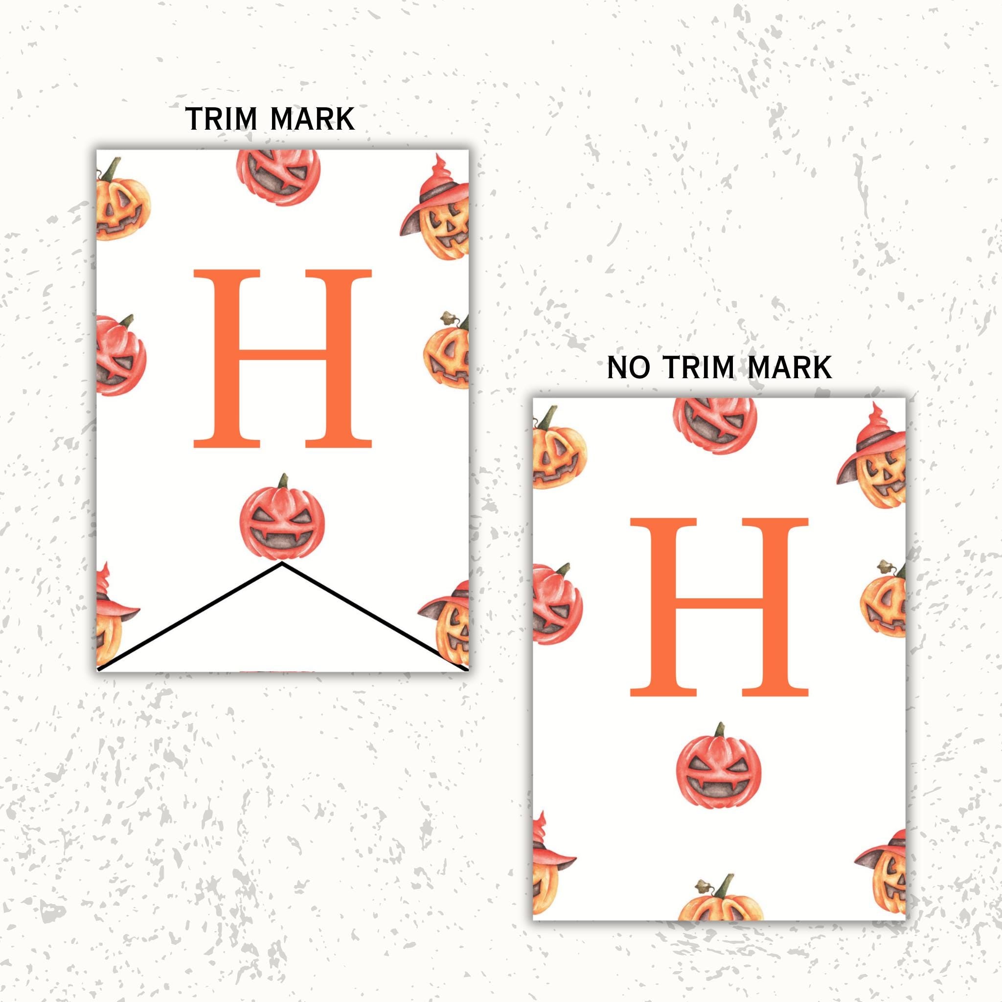 1st Pumpkin Birthday Banner