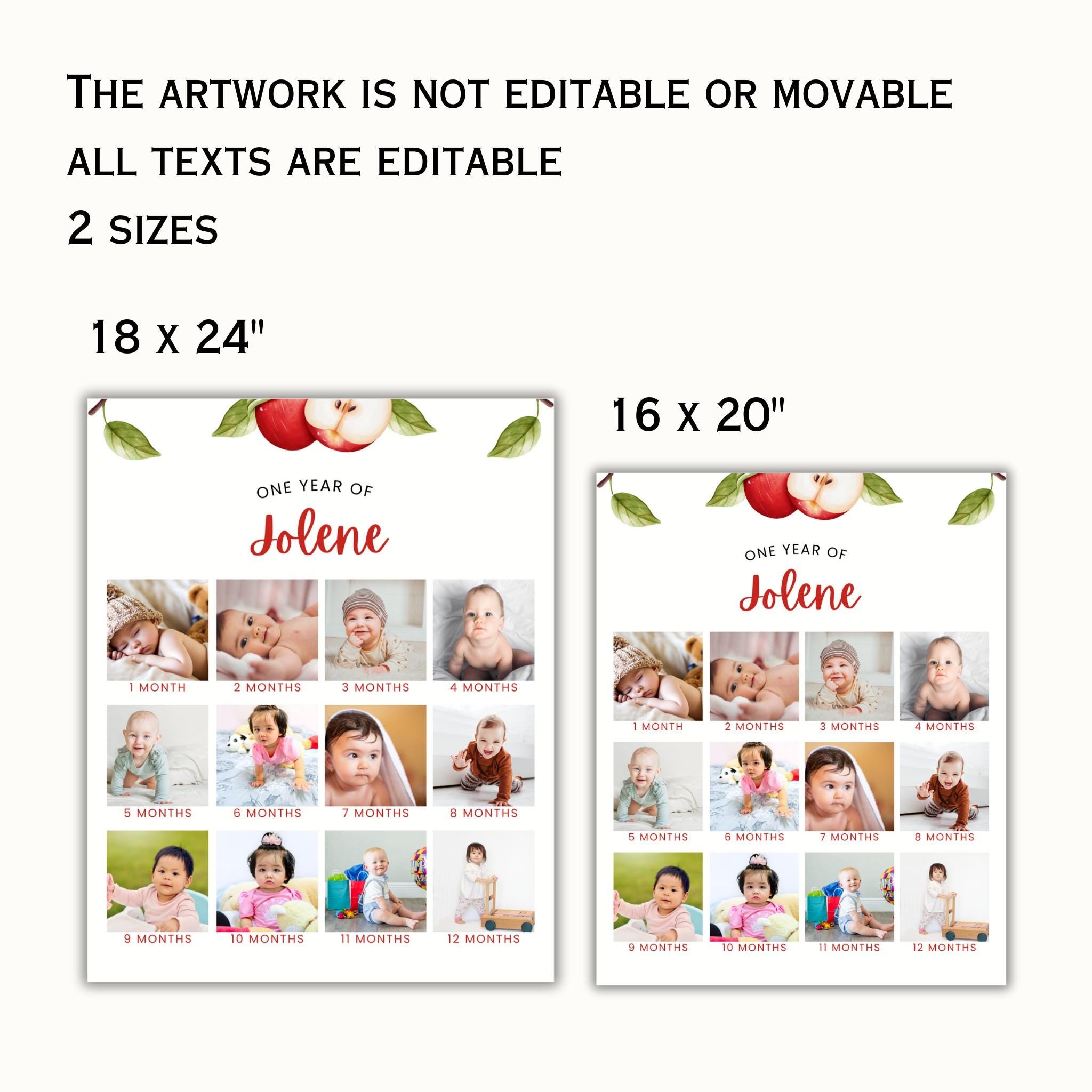 Apple 1st Birthday Photo Poster Sign