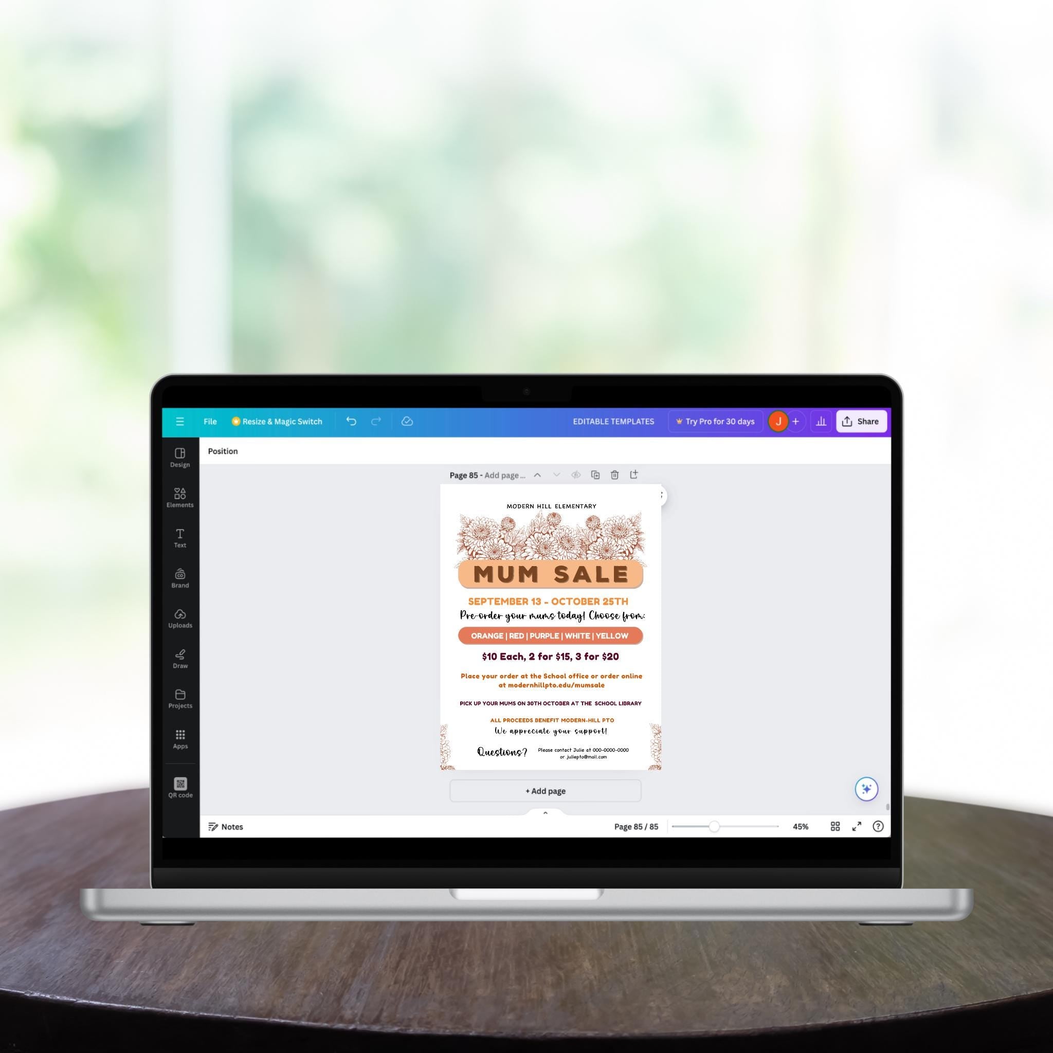 Fall Mum Sale Flyer Template