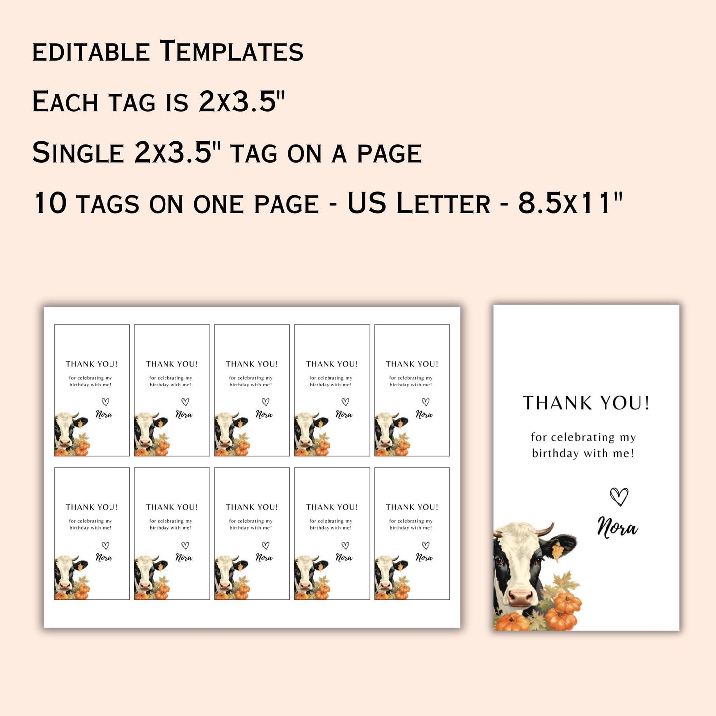 Holy Cow Pumpkin Birthday Party Favor Tag