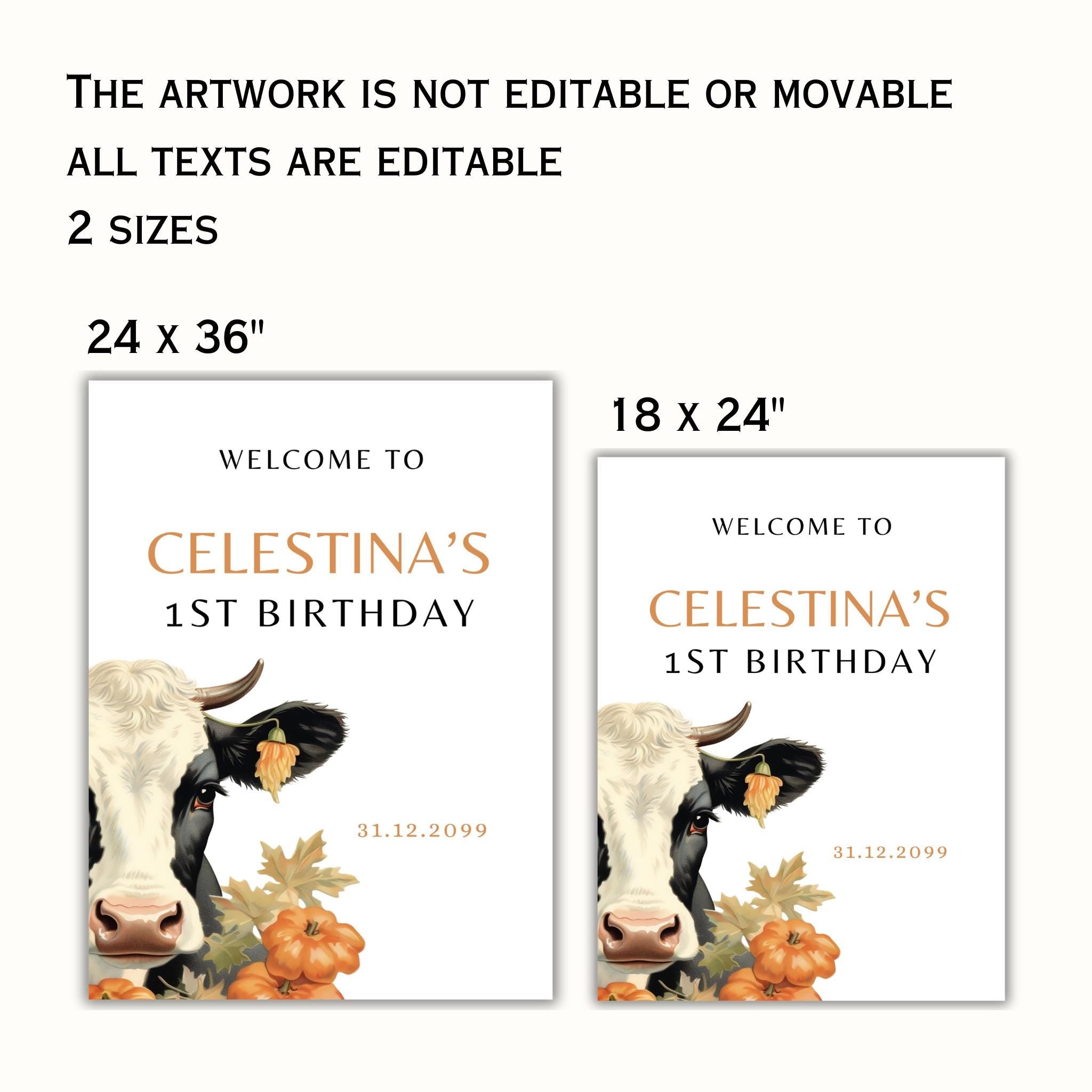 Holy Cow Birthday Party Welcome Sign