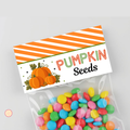 Pumpkin Seeds Bag Topper 0