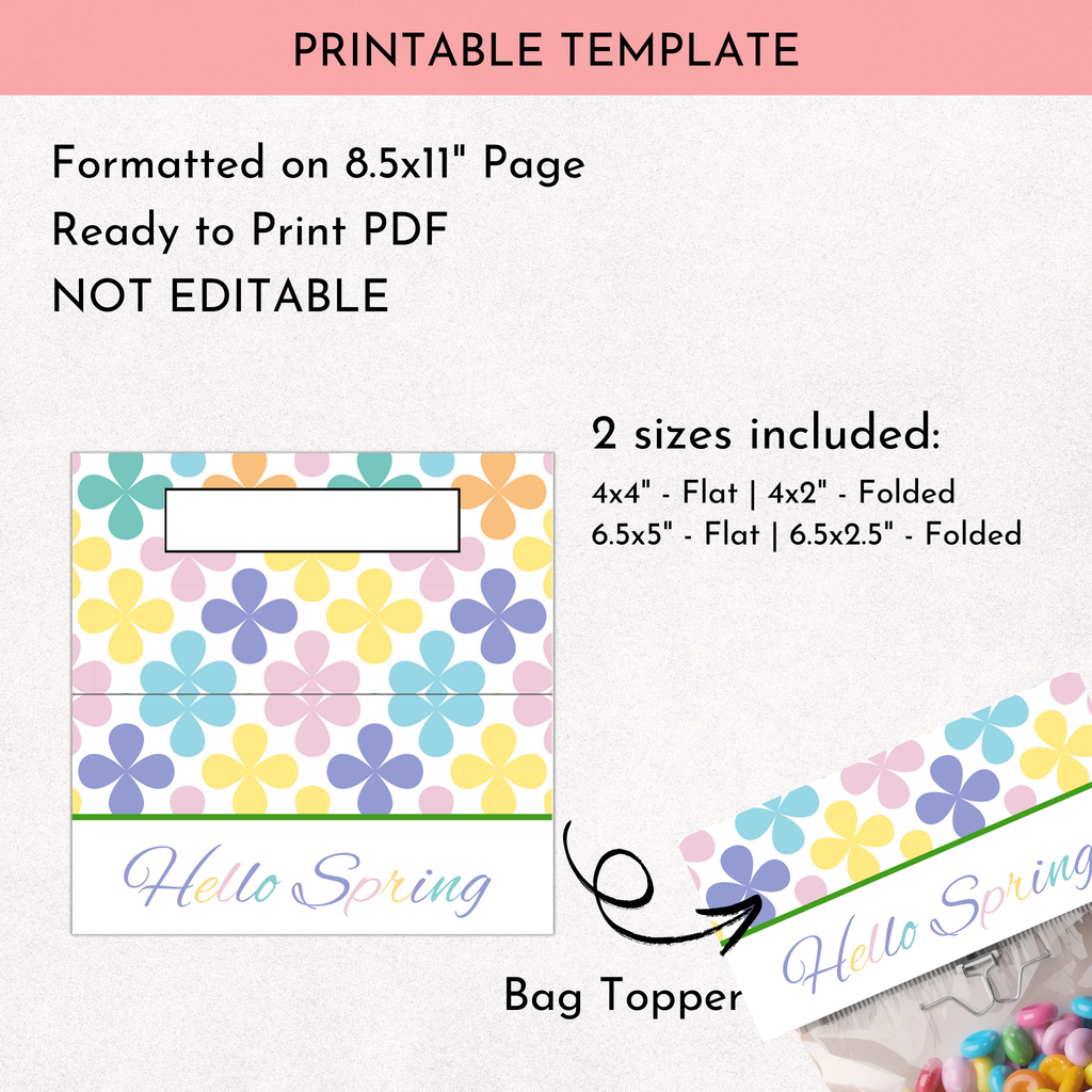 Hello Spring Treat Bag Topper