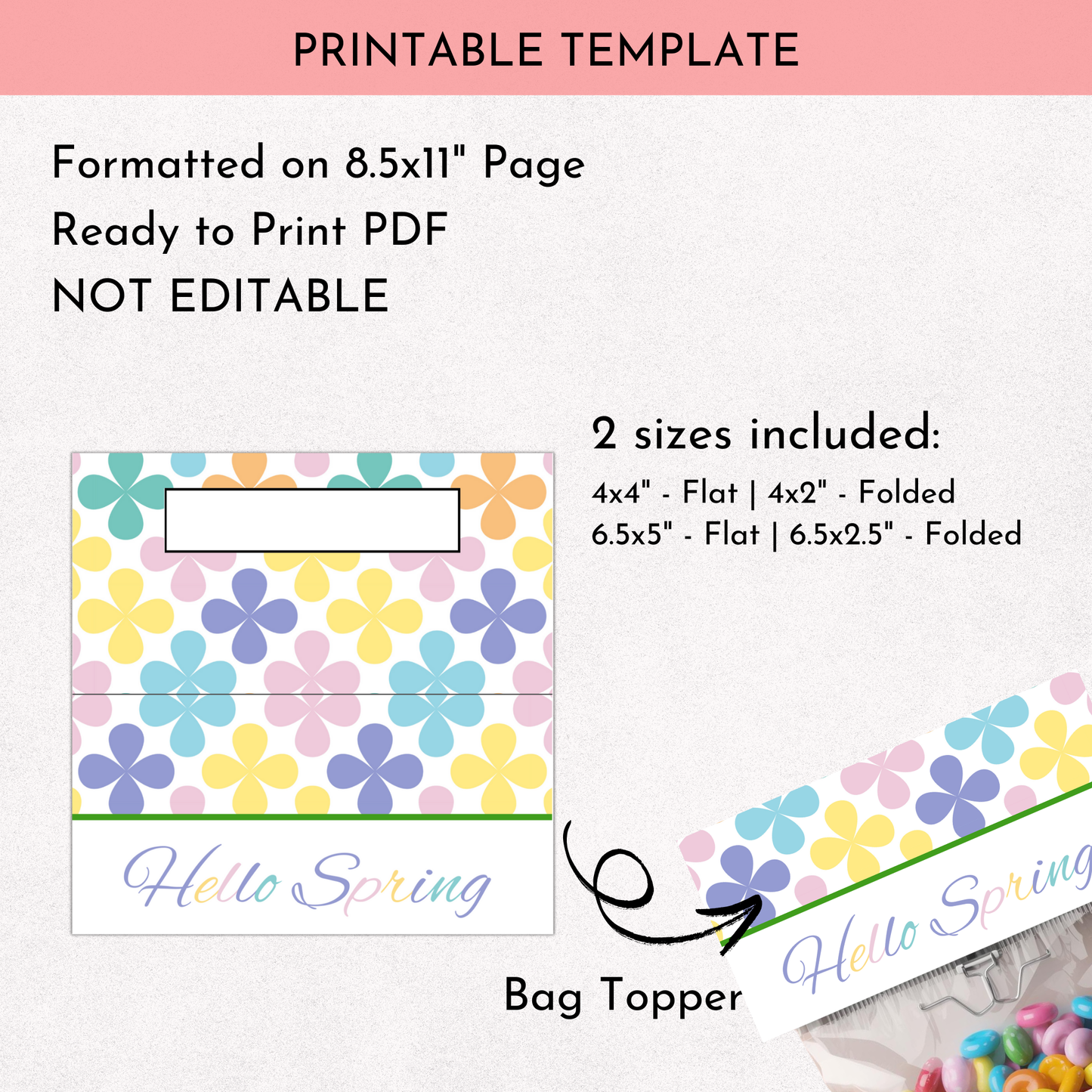 Hello Spring Treat Bag Topper