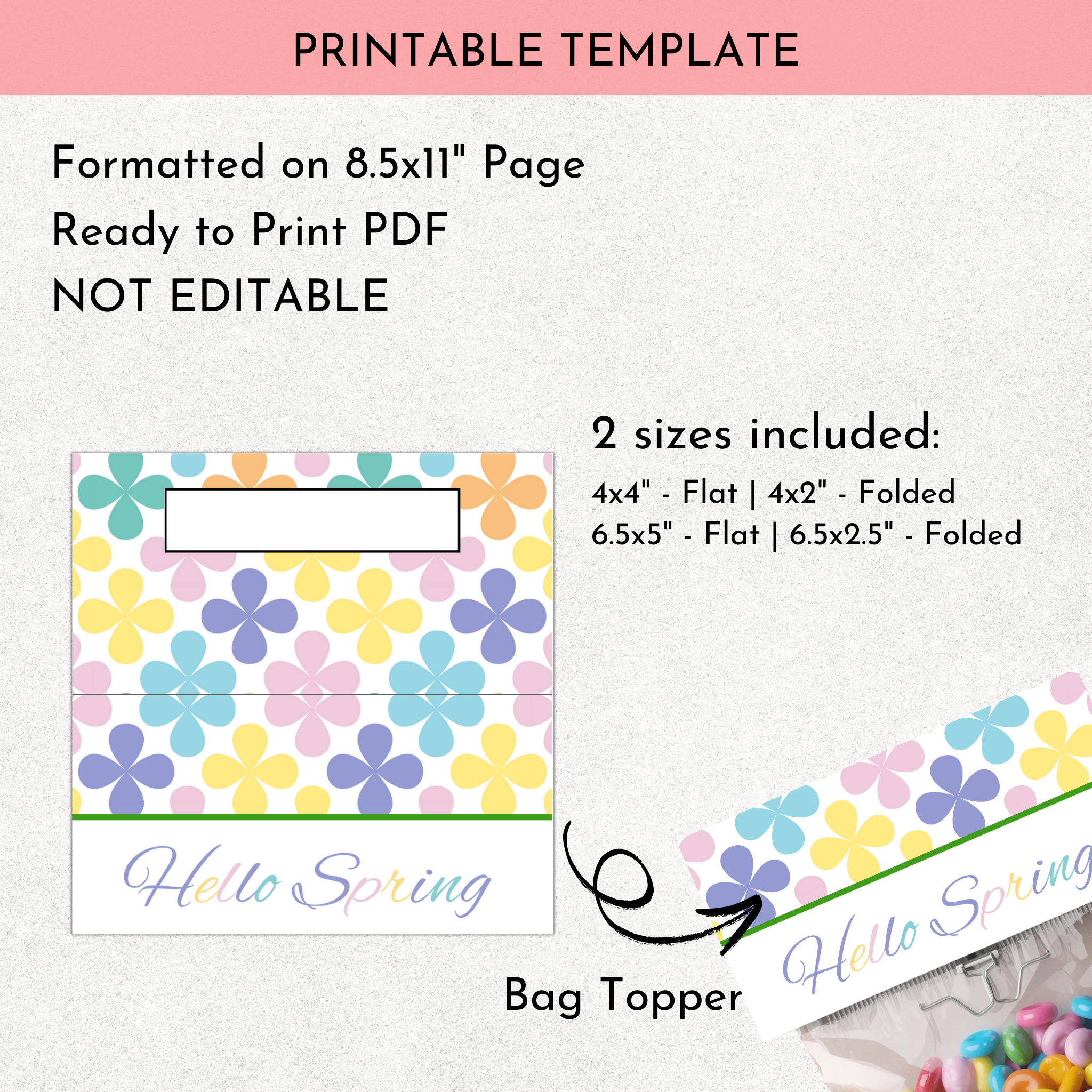 Hello Spring Treat Bag Topper