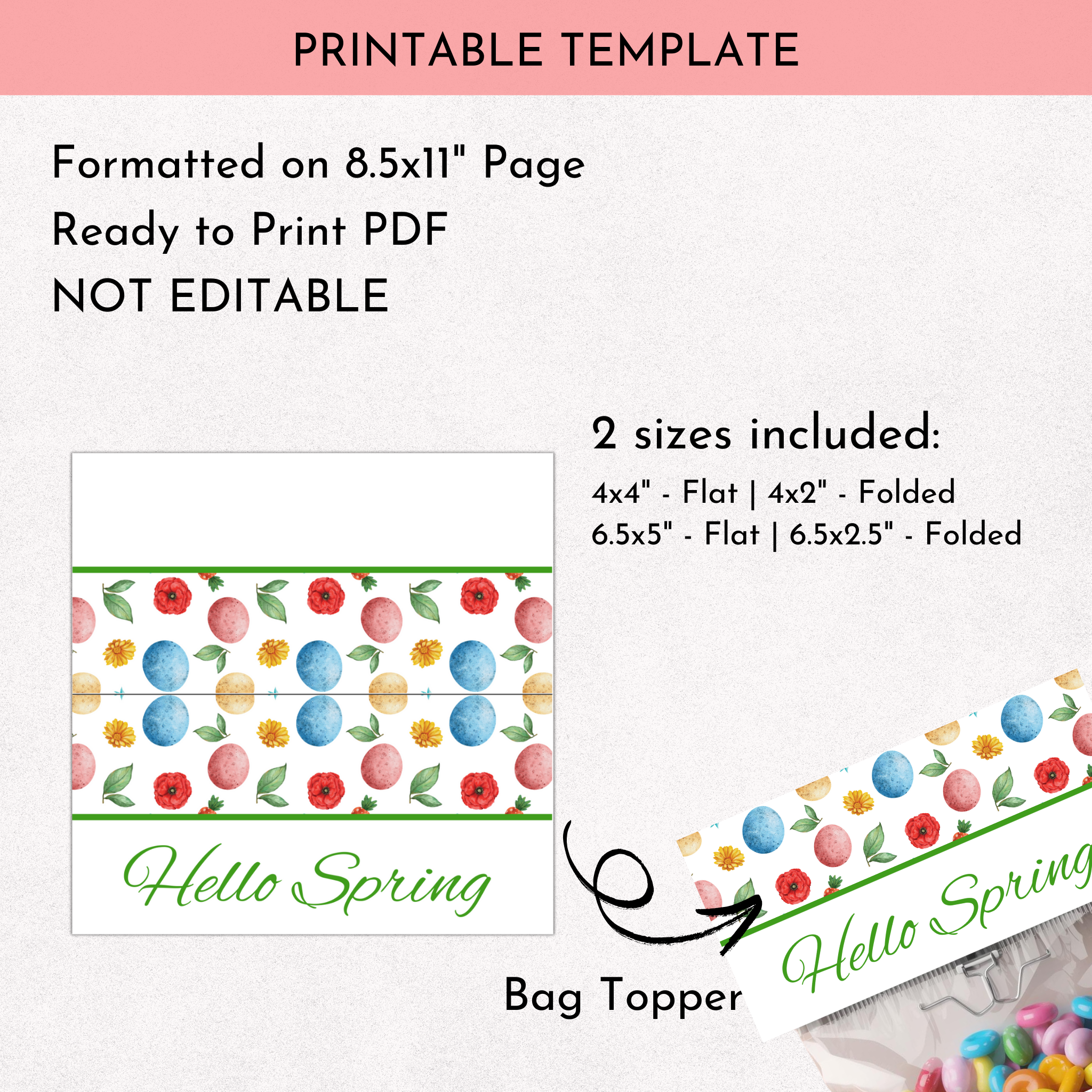 Hello Spring Treat Bag Topper