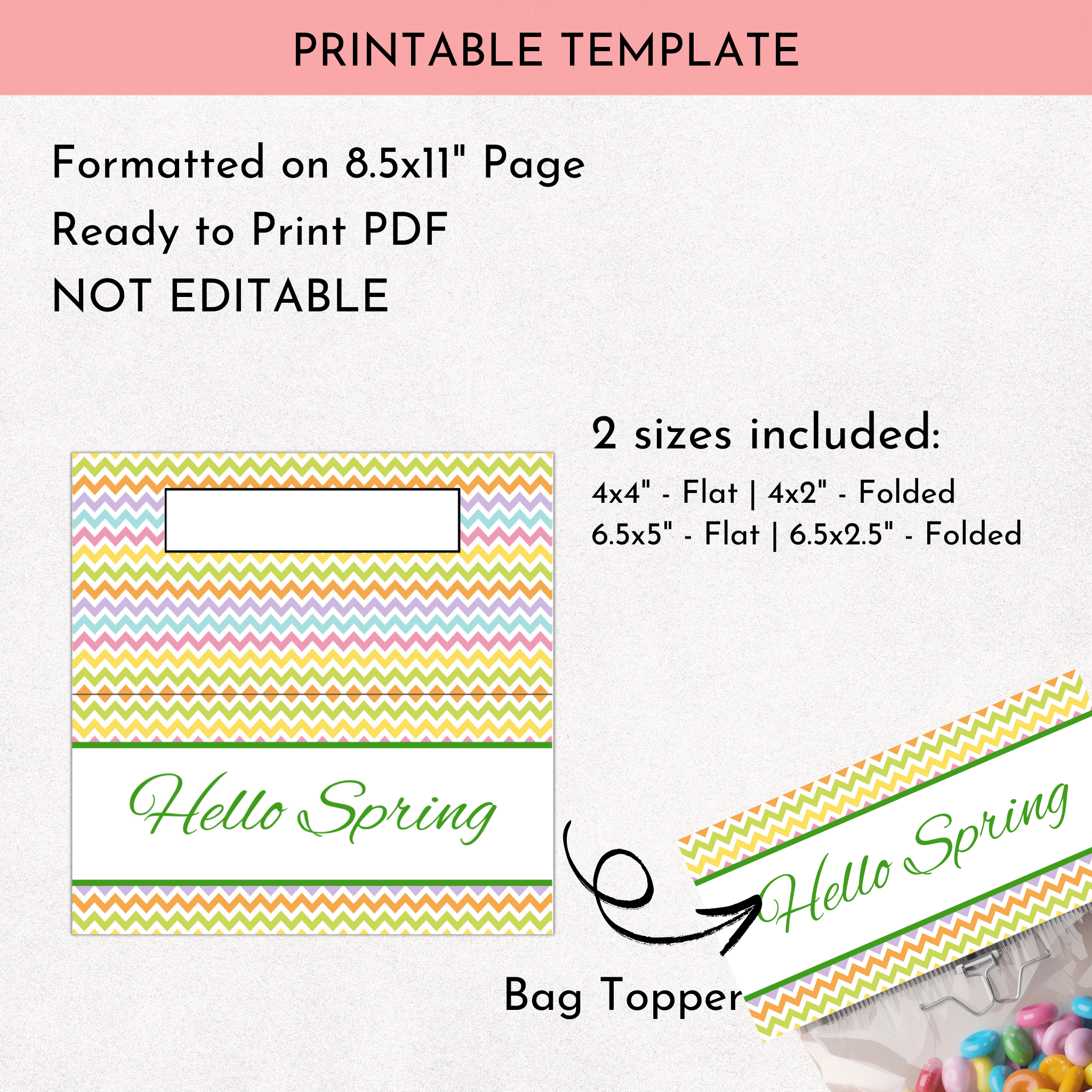 Spring Treat Bag Topper
