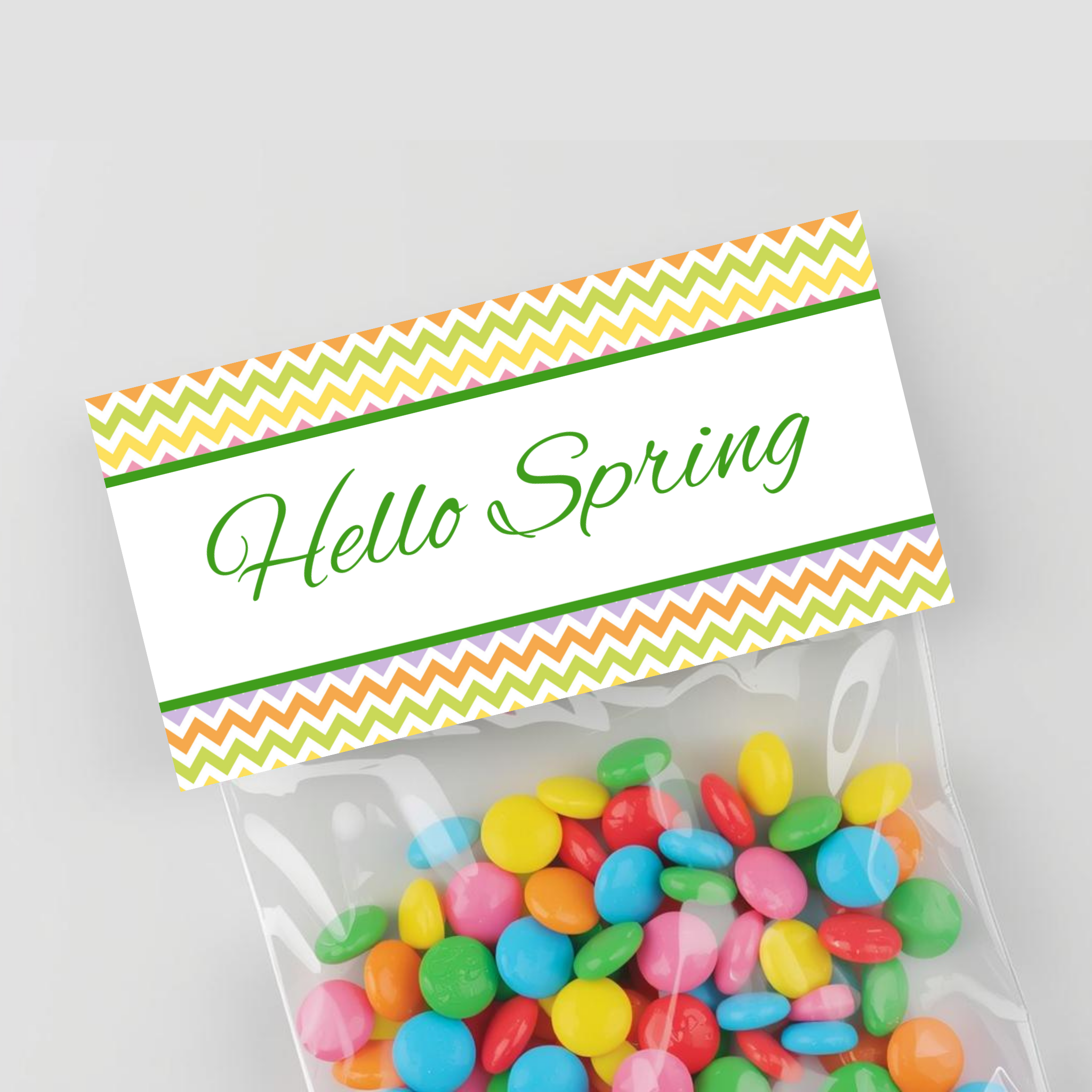 Spring Treat Bag Topper